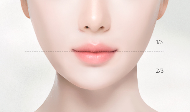 리트머스성형외과 히든절개 인중축소 설명 이미지