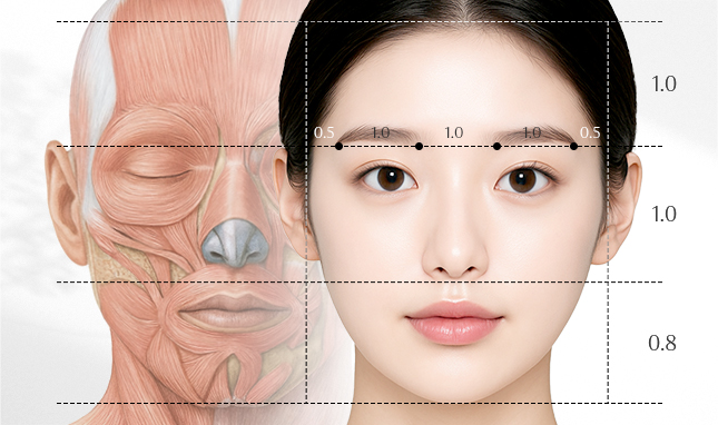 리트머스성형외과 안면윤곽 재수술 이미지